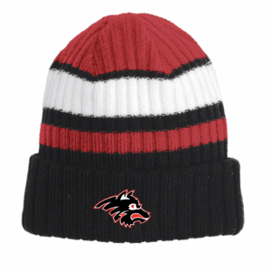 TAILGATE BEANIE